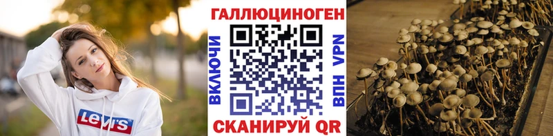 Псилоцибиновые грибы мицелий  кракен ссылки  Краснообск 